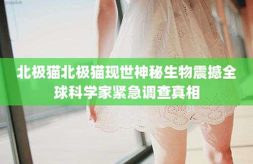 北极猫北极猫现世神秘生物震撼全球科学家紧急调查真相
