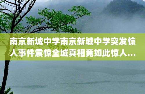 南京新城中学南京新城中学突发惊人事件震惊全城真相竟如此惊人...