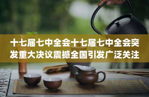 十七届七中全会十七届七中全会突发重大决议震撼全国引发广泛关注