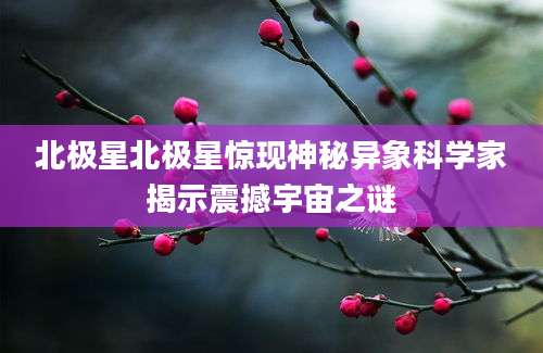 北极星北极星惊现神秘异象科学家揭示震撼宇宙之谜