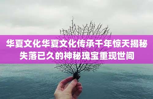 华夏文化华夏文化传承千年惊天揭秘失落已久的神秘瑰宝重现世间