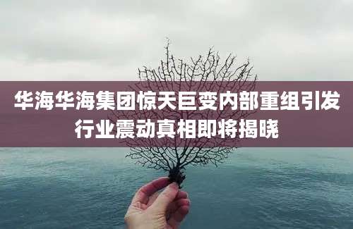 华海华海集团惊天巨变内部重组引发行业震动真相即将揭晓