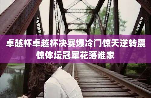 卓越杯卓越杯决赛爆冷门惊天逆转震惊体坛冠军花落谁家