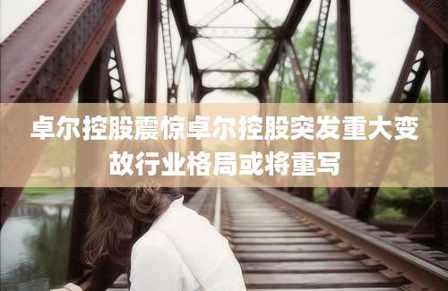 卓尔控股震惊卓尔控股突发重大变故行业格局或将重写