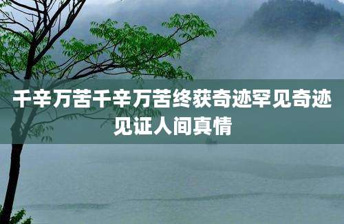 千辛万苦千辛万苦终获奇迹罕见奇迹见证人间真情