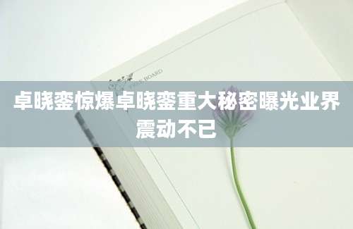 卓晓銮惊爆卓晓銮重大秘密曝光业界震动不已