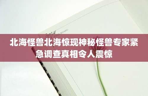 北海怪兽北海惊现神秘怪兽专家紧急调查真相令人震惊