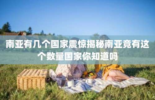 南亚有几个国家震惊揭秘南亚竟有这个数量国家你知道吗