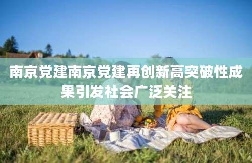 南京党建南京党建再创新高突破性成果引发社会广泛关注