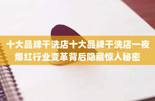十大品牌干洗店十大品牌干洗店一夜爆红行业变革背后隐藏惊人秘密