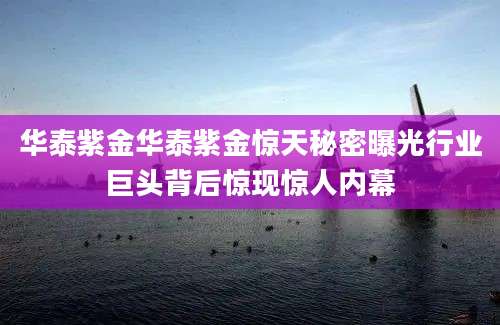 华泰紫金华泰紫金惊天秘密曝光行业巨头背后惊现惊人内幕