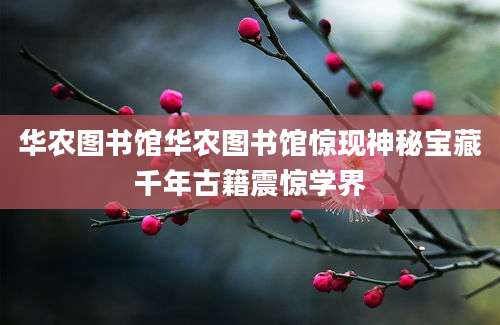 华农图书馆华农图书馆惊现神秘宝藏千年古籍震惊学界