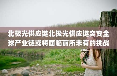 北极光供应链北极光供应链突变全球产业链或将面临前所未有的挑战