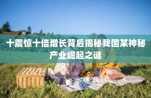 十震惊十倍增长背后揭秘我国某神秘产业崛起之谜