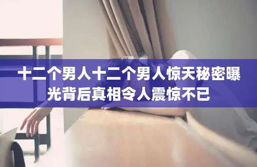 十二个男人十二个男人惊天秘密曝光背后真相令人震惊不已