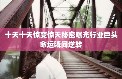 十天十天惊变惊天秘密曝光行业巨头命运瞬间逆转
