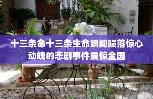 十三条命十三条生命瞬间陨落惊心动魄的悲剧事件震惊全国