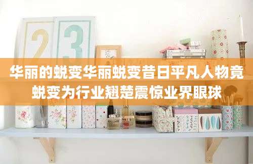 华丽的蜕变华丽蜕变昔日平凡人物竟蜕变为行业翘楚震惊业界眼球