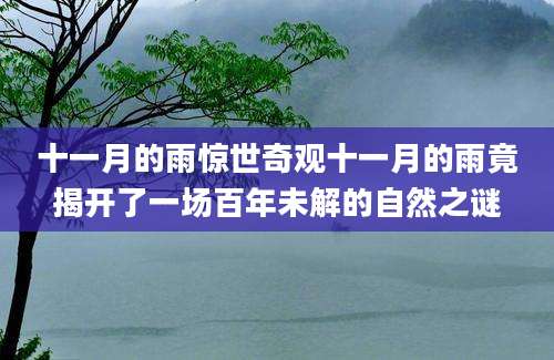 十一月的雨惊世奇观十一月的雨竟揭开了一场百年未解的自然之谜