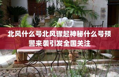 北风什么号北风骤起神秘什么号预警来袭引发全国关注
