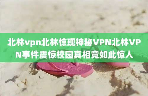 北林vpn北林惊现神秘VPN北林VPN事件震惊校园真相竟如此惊人