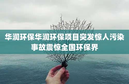 华润环保华润环保项目突发惊人污染事故震惊全国环保界