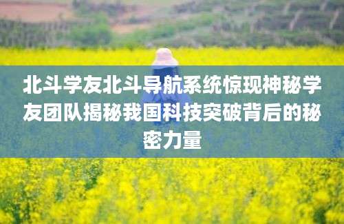 北斗学友北斗导航系统惊现神秘学友团队揭秘我国科技突破背后的秘密力量