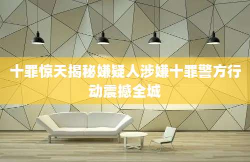 十罪惊天揭秘嫌疑人涉嫌十罪警方行动震撼全城