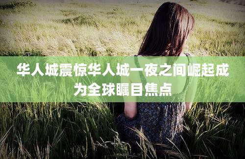 华人城震惊华人城一夜之间崛起成为全球瞩目焦点