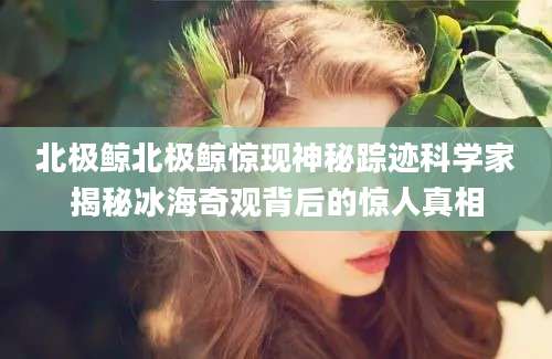 北极鲸北极鲸惊现神秘踪迹科学家揭秘冰海奇观背后的惊人真相