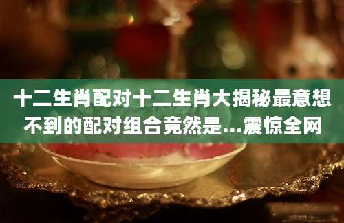 十二生肖配对十二生肖大揭秘最意想不到的配对组合竟然是...震惊全网