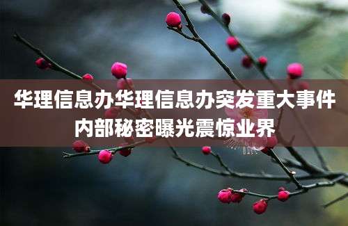 华理信息办华理信息办突发重大事件内部秘密曝光震惊业界