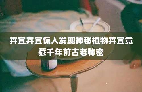 卉宜卉宜惊人发现神秘植物卉宜竟藏千年前古老秘密