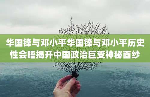 华国锋与邓小平华国锋与邓小平历史性会晤揭开中国政治巨变神秘面纱