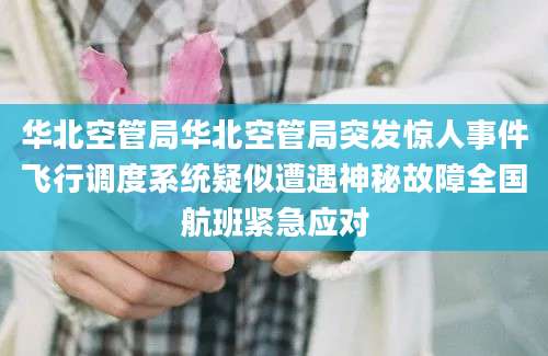 华北空管局华北空管局突发惊人事件飞行调度系统疑似遭遇神秘故障全国航班紧急应对