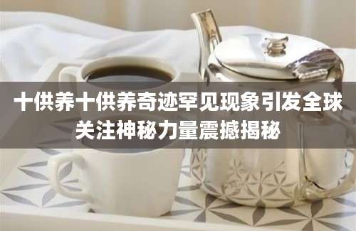 十供养十供养奇迹罕见现象引发全球关注神秘力量震撼揭秘