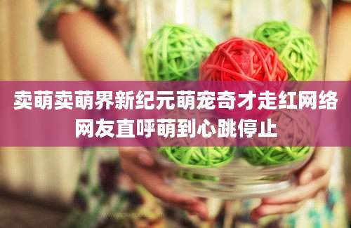 卖萌卖萌界新纪元萌宠奇才走红网络网友直呼萌到心跳停止