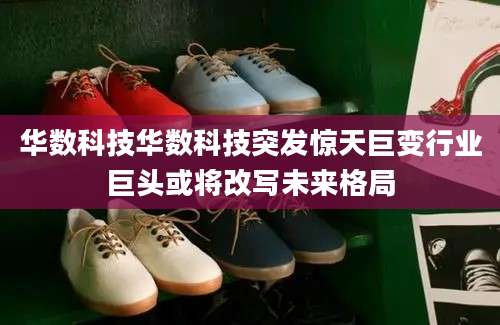 华数科技华数科技突发惊天巨变行业巨头或将改写未来格局