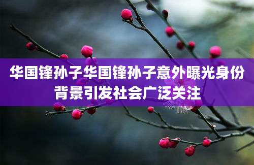 华国锋孙子华国锋孙子意外曝光身份背景引发社会广泛关注