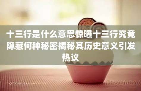 十三行是什么意思惊曝十三行究竟隐藏何种秘密揭秘其历史意义引发热议