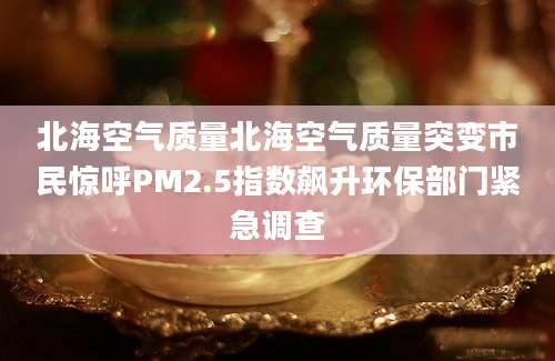 北海空气质量北海空气质量突变市民惊呼PM2.5指数飙升环保部门紧急调查