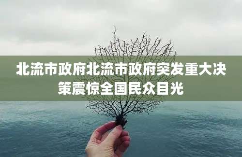 北流市政府北流市政府突发重大决策震惊全国民众目光