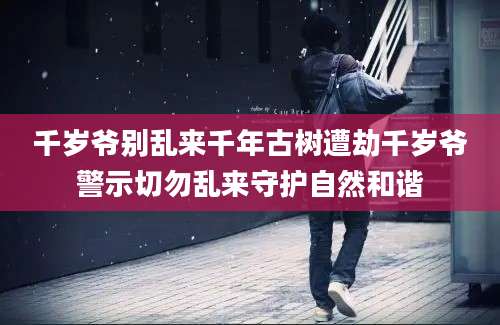 千岁爷别乱来千年古树遭劫千岁爷警示切勿乱来守护自然和谐