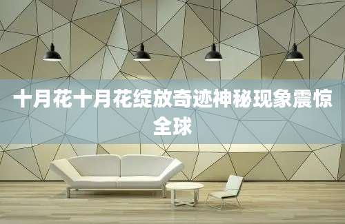 十月花十月花绽放奇迹神秘现象震惊全球