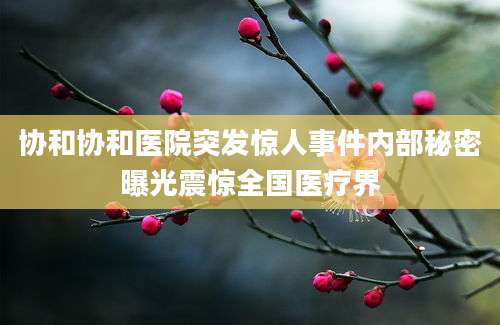 协和协和医院突发惊人事件内部秘密曝光震惊全国医疗界