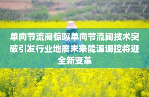 单向节流阀惊曝单向节流阀技术突破引发行业地震未来能源调控将迎全新变革