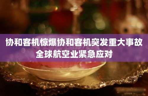 协和客机惊爆协和客机突发重大事故全球航空业紧急应对