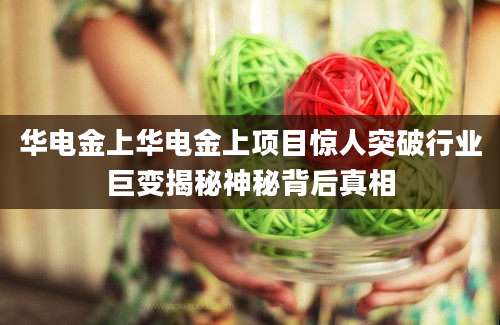 华电金上华电金上项目惊人突破行业巨变揭秘神秘背后真相