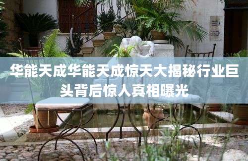 华能天成华能天成惊天大揭秘行业巨头背后惊人真相曝光