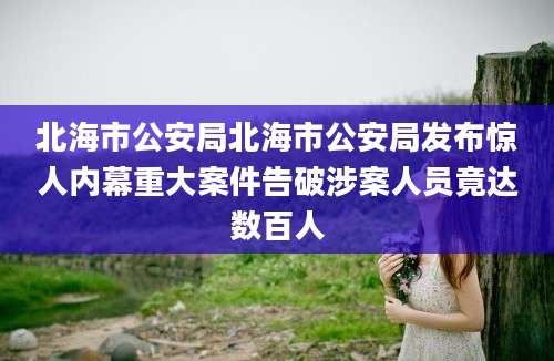 北海市公安局北海市公安局发布惊人内幕重大案件告破涉案人员竟达数百人